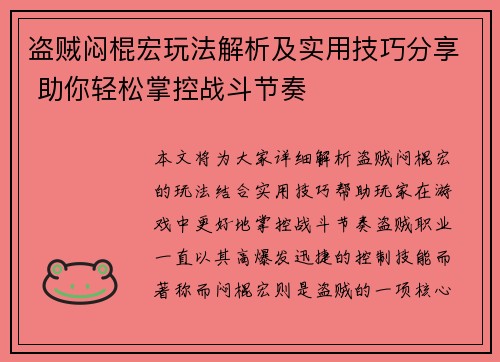盗贼闷棍宏玩法解析及实用技巧分享 助你轻松掌控战斗节奏